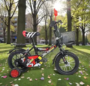 Safe Cartoon Bike 12,14,16 Inch 2-11 Years Children Kids Stabilizer