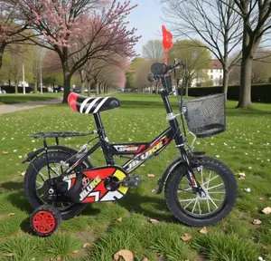 Fun and Safe Cartoon Bike 12,14,16 Inch 2-11 Yrs Children Kids Bicycle