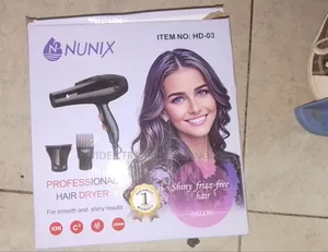 Professional Hair Dryer