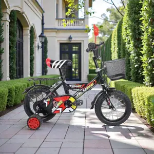 Sturdy Frame 12,14,16 Inch 2-11 Years Children Kids Bicycle Bracket