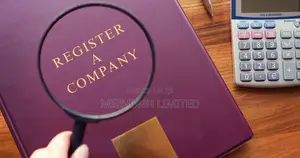 Professional Incorporation Support