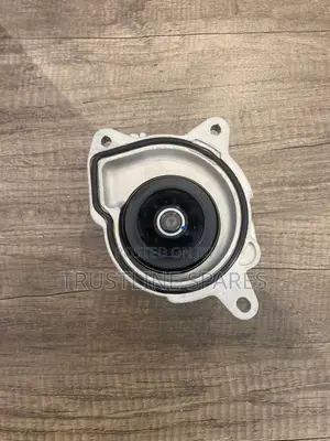 Water Pump for Beetle