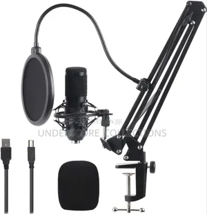 Bm 700 Professional Microphone