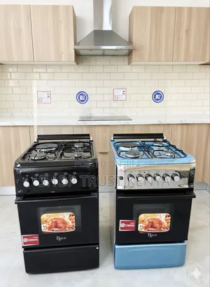 Roch 50 by 55 3+1 Electric Oven