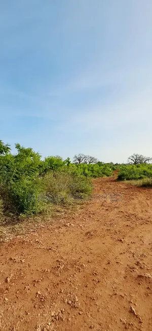 For Sale Half Acre Plots Diani