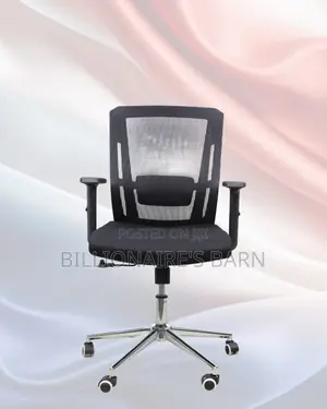 Ergonomic Mid-Back Chair With Chrome Base | Chrome Base, Modern Look