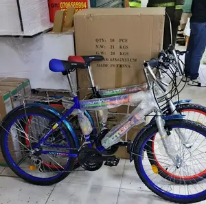 Victory 24” Geared Bike – Compact Size, Big Performance