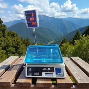Acs 40 40kgs Digital Weight Scale With Led Display and Battery