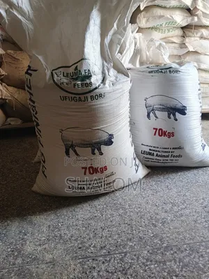 Sow and Weaner