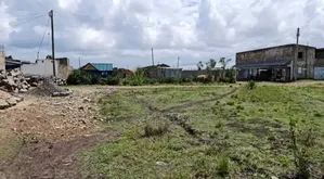 Prime Land 40 *80