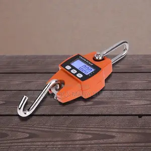 High Quality 300kgs Digital Hanging Crane Scale With Durable Design
