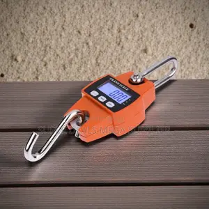 Reliable Quality 300kgs Hanging Crane Scale Portable and Easy to Use
