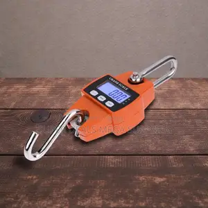 Durable Quality 300kgs Industrial Crane Scale With Durable Weighing