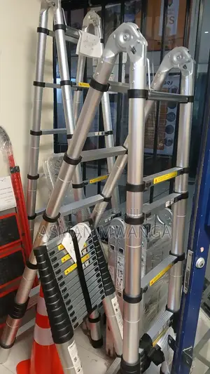 Assorted Telescopic Ladder