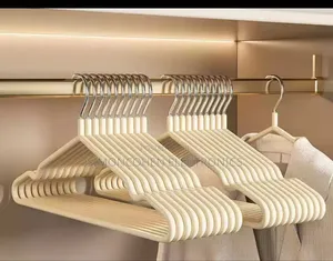 10pcs Set Clothes Hanger With Antislip Hooks