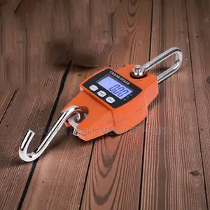 Accurate and Durable 300kgs LCD Display Industrial Hanging Crane Scale