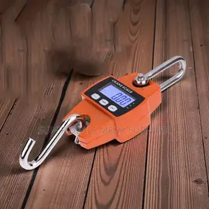 Portable and Easy to Use 300kgs Hanging Hook Accurate Crane Scale