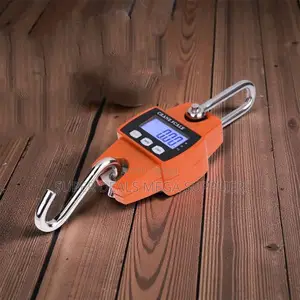 Long Lasting Quality 300kgs Digital Hanging Crane Scale LCD Display