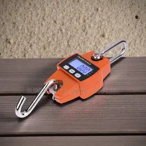 High Performance 300kgs Hanging Hook Crane Scale Accurate and Durable
