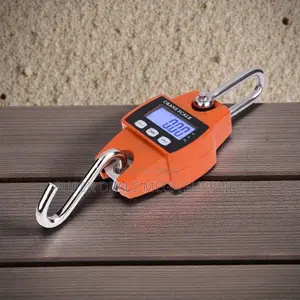 Stable Performance 300kgs Industrial Hanging Scale Portable Easy Use