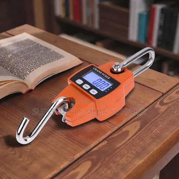 Reliable Performance Portable 300kgs Hanging Hook Crane Accurate Scale