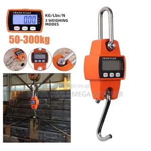 Efficient Convenient 300kgs Portable Hanging Crane Scale Accurate Use