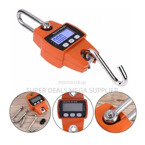 Ultra High Quality 300kgs Hanging Hook Crane Scale With LCD Display