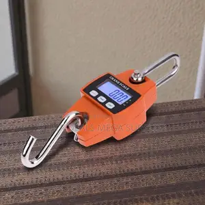 High Durability 300kgs Digital Hanging Crane Scale With LCD Display