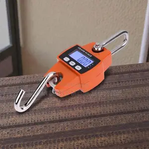Inexpensive 300kgs Hanging Crane Scale Accurate and Easy to Use