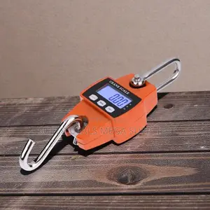 Lightweight Design 300kgs Hanging Crane Scale Accurate and Durable