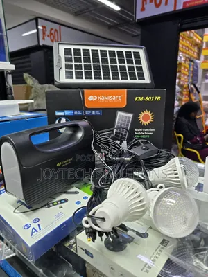Electric Solar Lighting System [ Three Bulbs ]