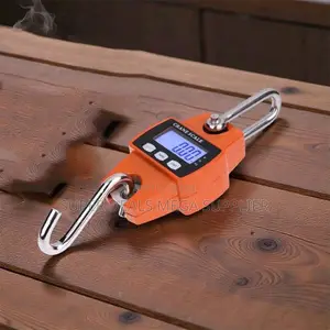 Easy to Operate 300kgs Industrial LCD Display Hanging Hook Crane Scale