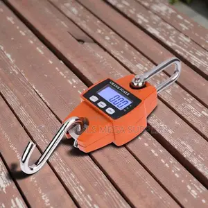 300 KGS Industrial Digital Hanging Hook Mini Crane Scale LCD Display