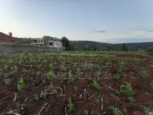 Quarter Acre Plot Is on Sale in Kerarapon Drive, Ngong. Red Soil