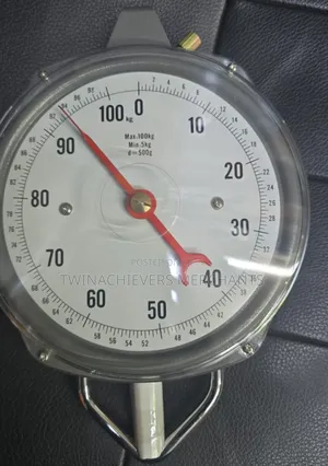 100kgs Hanging Scale
