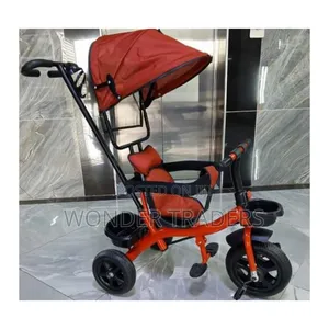 Tricycle With Canopy