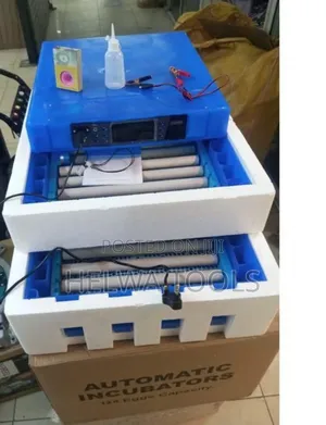 Eggs Incubator, 128 Eggs Ac/Dc