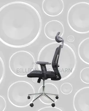 Office Mesh Chair With Lumbar Support | Premium Look, Daily Comfort