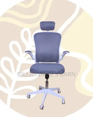 Quality Ergonomic Office — Chair Posture | Order Yours Today