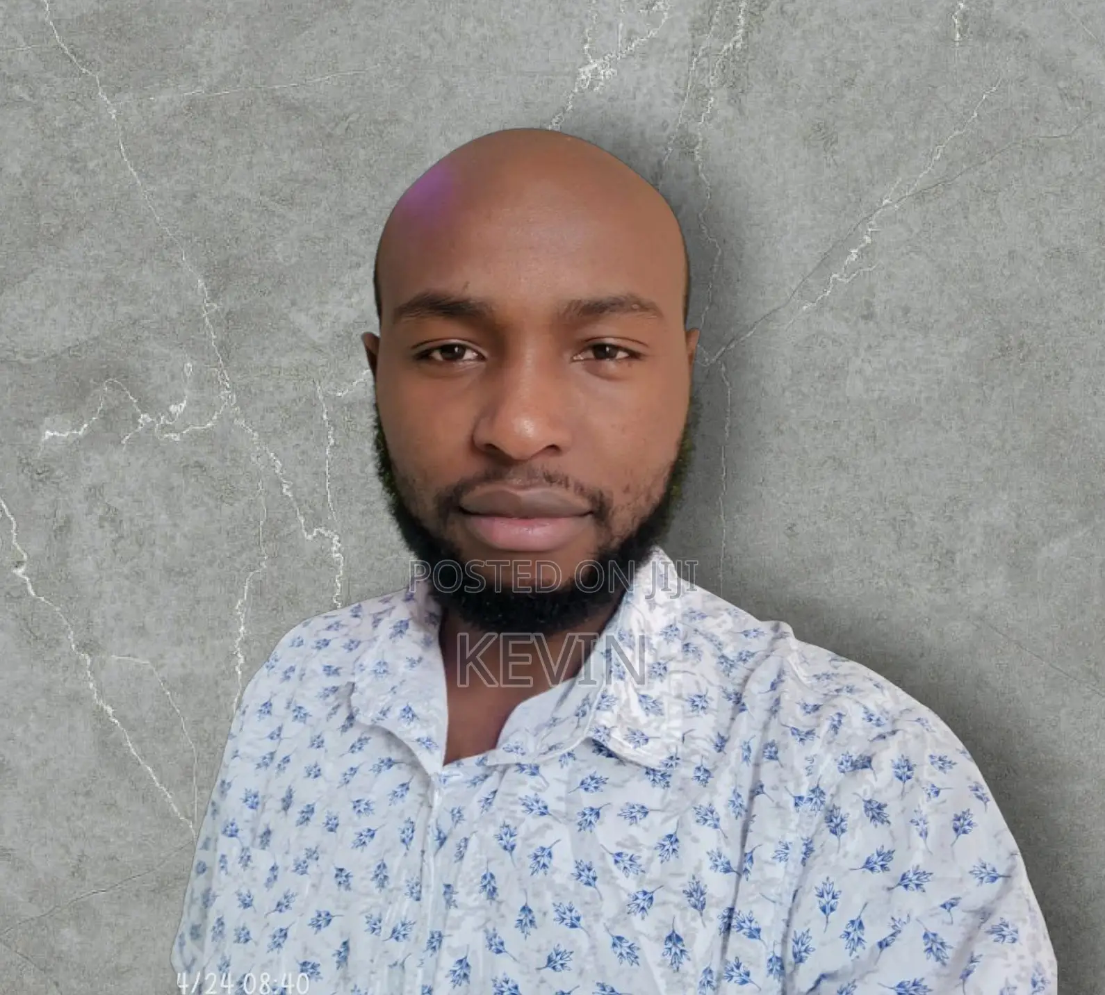 Software Developer