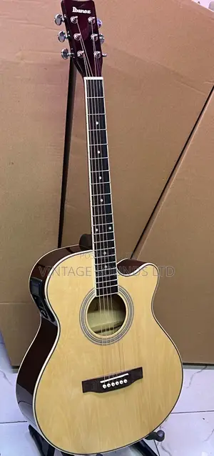 Ibanez Size 40 Advanced Acoustic- Electric Guitar ( Natural)