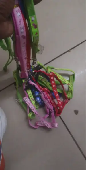 Chiwawa Dogleash