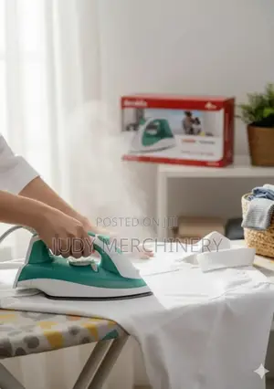 Steam Iron Electric