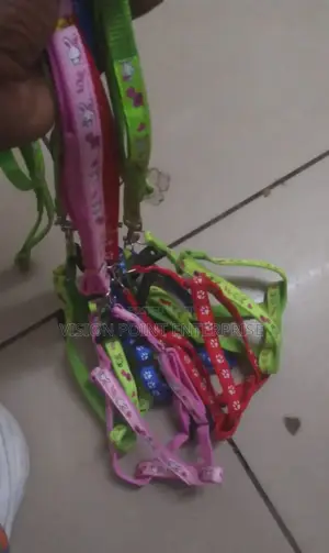 Chiwawa Dogleash
