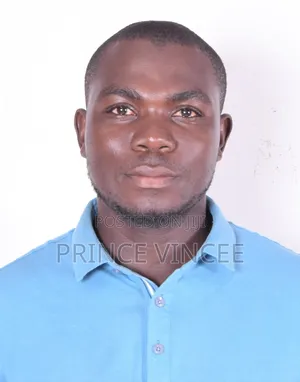 Vincent Ouma - CV Search