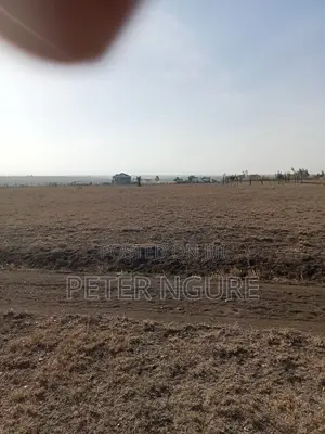 50 by 100 Prime Plots for Sale in Kitengela, Acacia Area