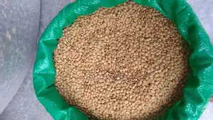 Kamande (Lentils) 1kg at 230