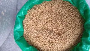 Kamande (Lentils) 1kg at 230