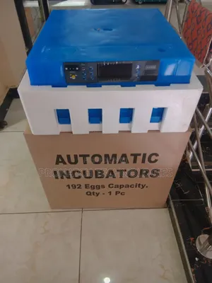 Automatic Eggs Automatic 64 Eggs