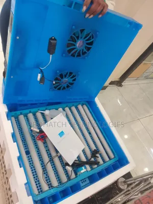 64_eggs Capacity Incubator Ac/Dc